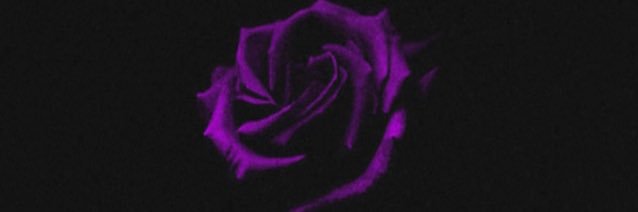 kaffeishop's profile banner image