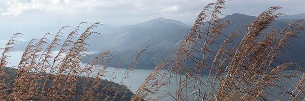 MiniDas_ Profile Banner
