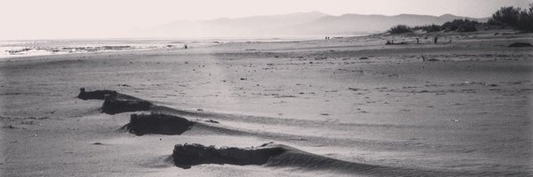 xiscoroig Profile Banner