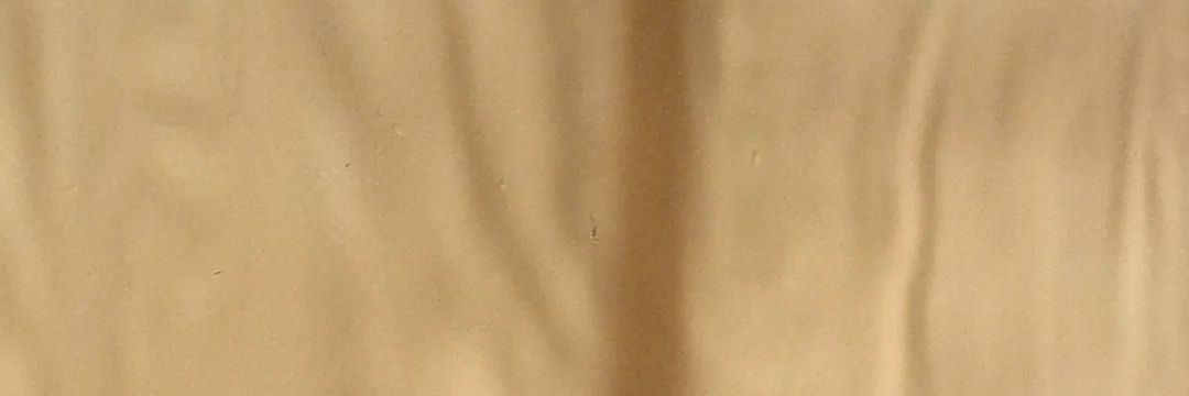laxsmi_u's profile banner image