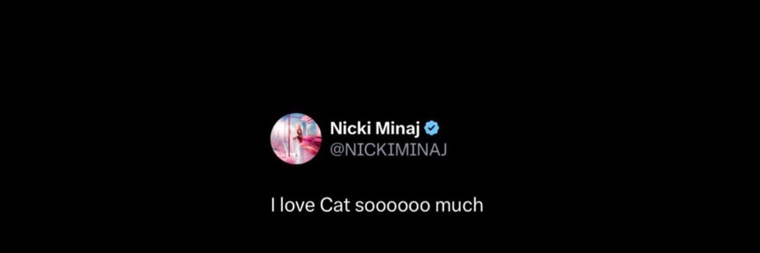 cat's banner