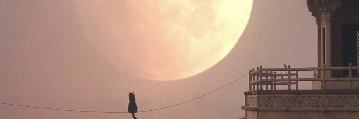 machinejedicat's profile banner image