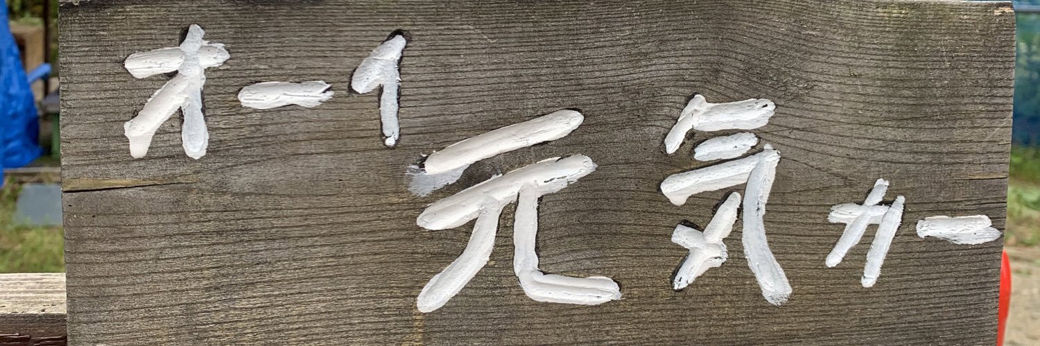 technicakids's profile banner image