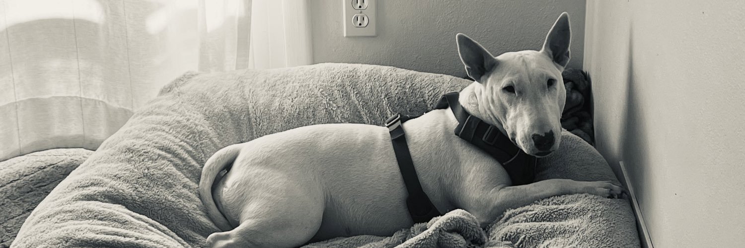 OliveAndEverton banner