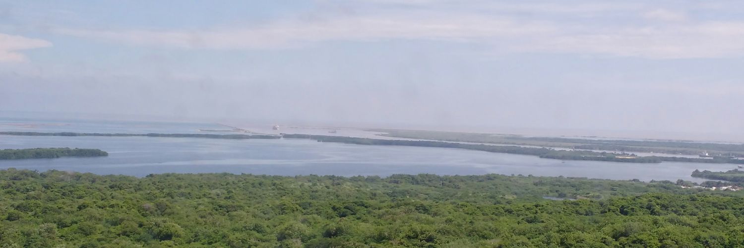 maylonpua's profile banner image