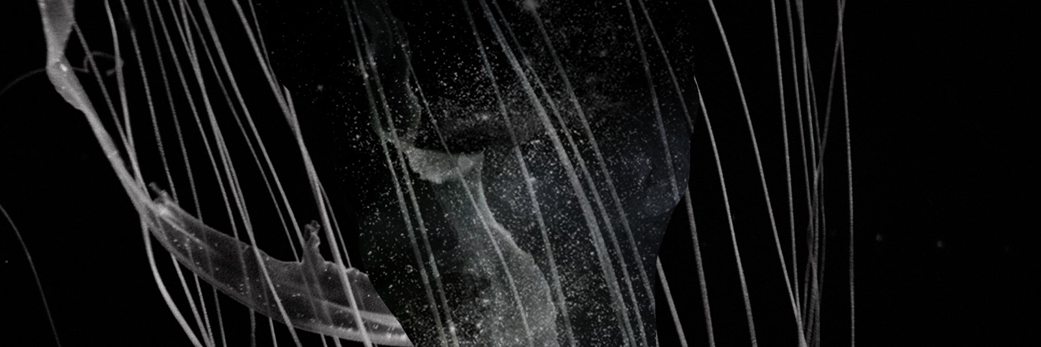 beefrecords's profile banner image