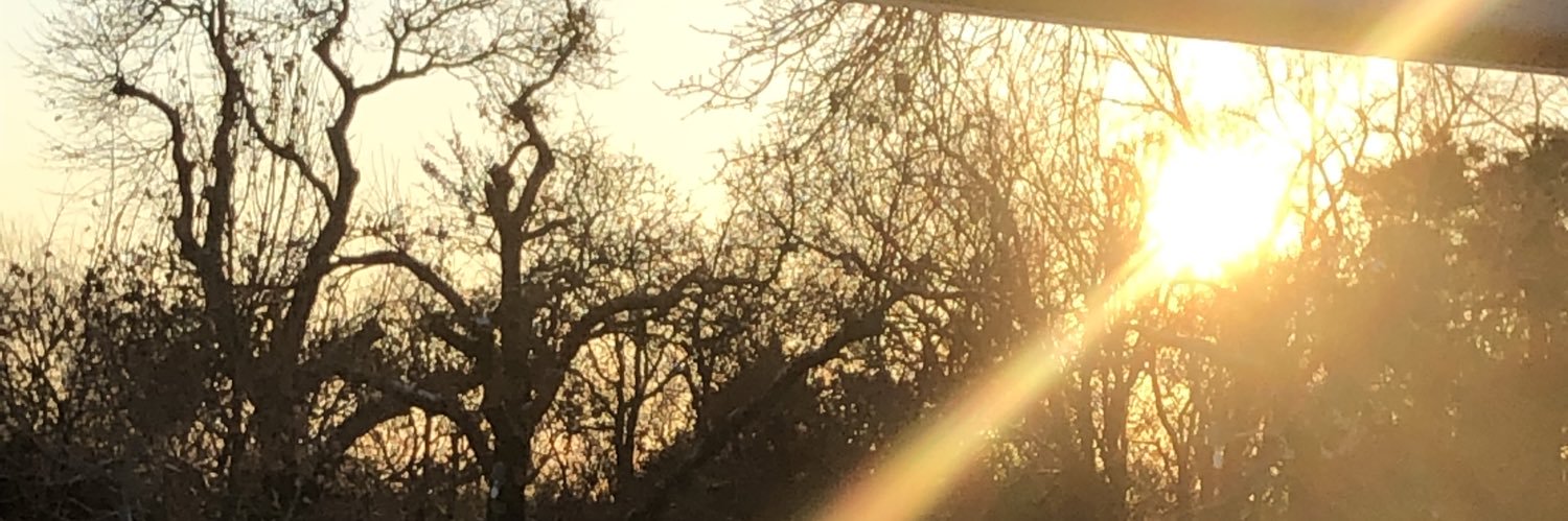 KayonPlugge's profile banner image