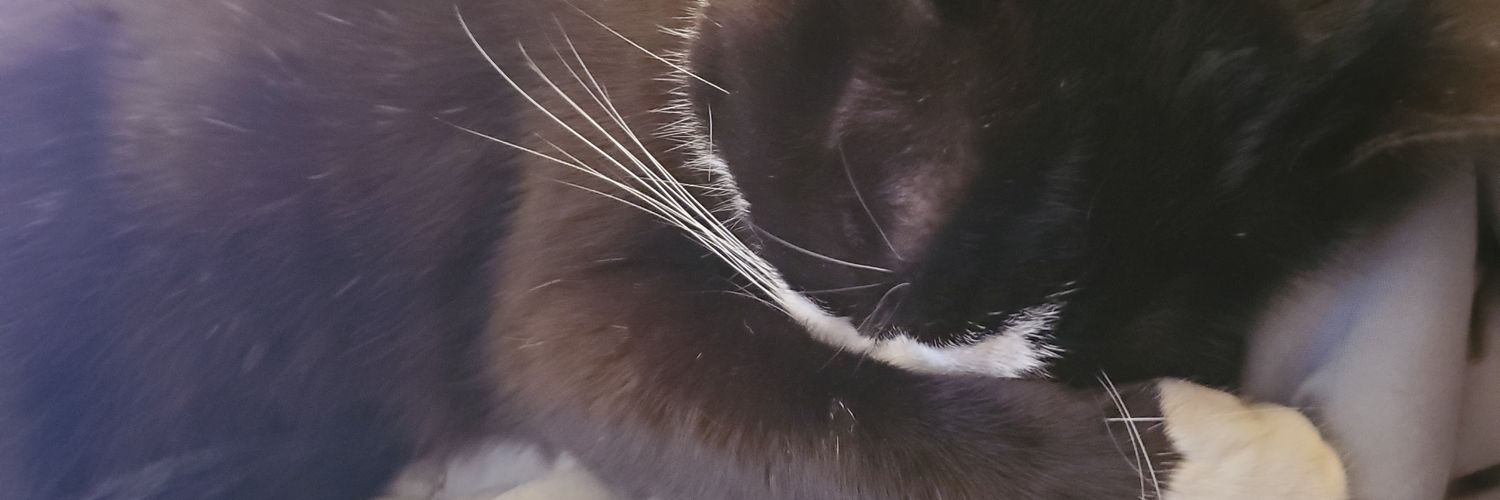 Peculiarhumming's profile banner image