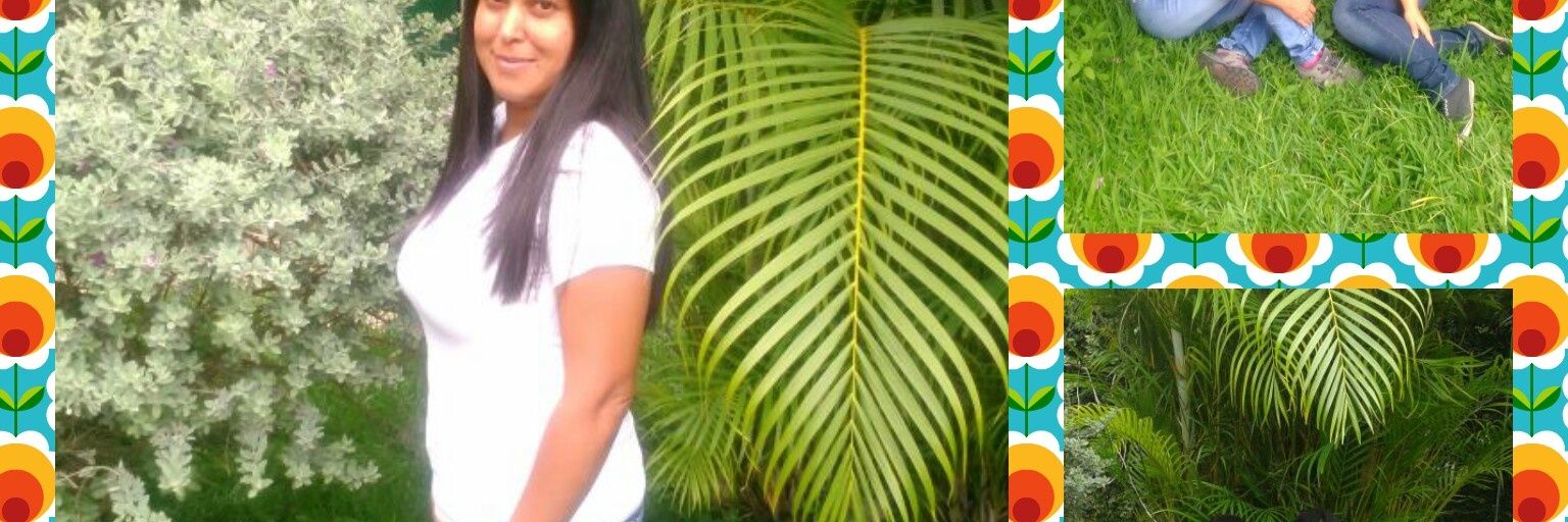 ZenithRobles's profile banner image