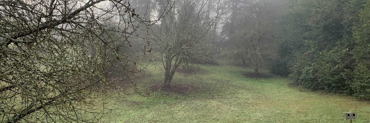 Tr1xE_'s profile banner image