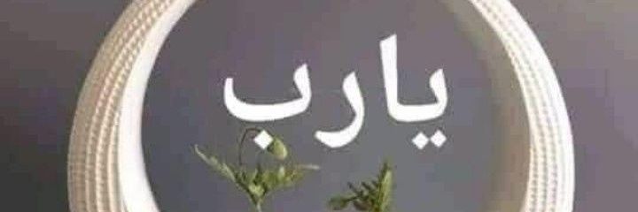 hamzaabady's profile banner image