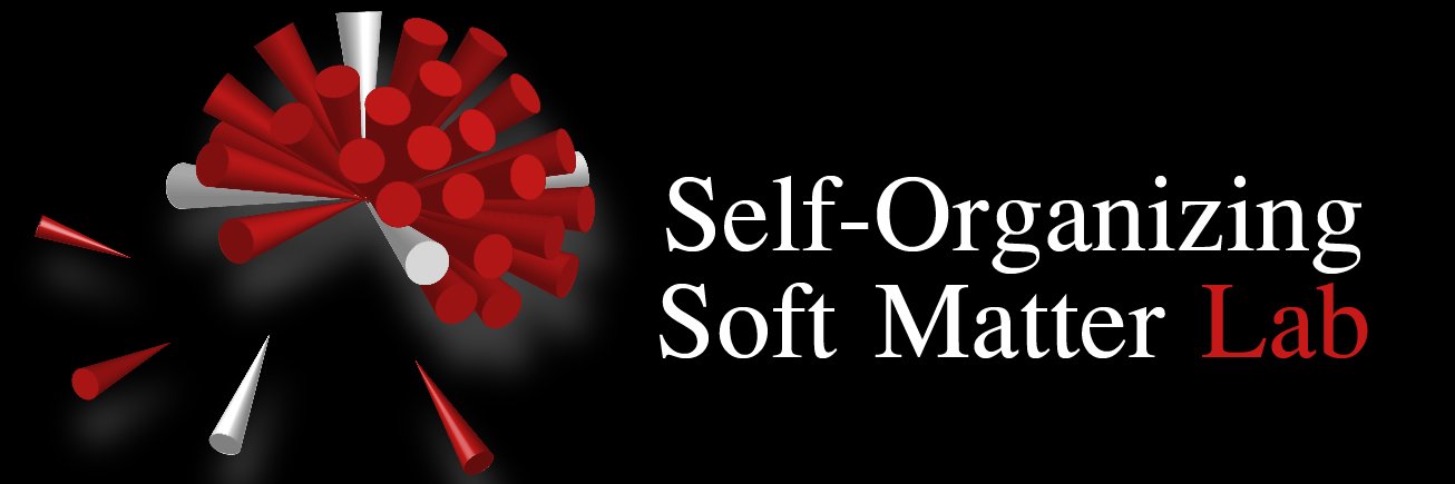 Self-Organizing Soft Matter Lab banner