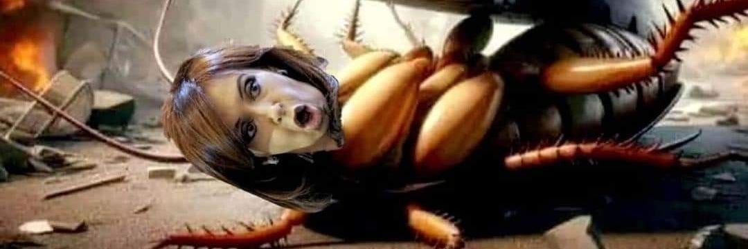 El Rosarino @SoyPROpuro banner