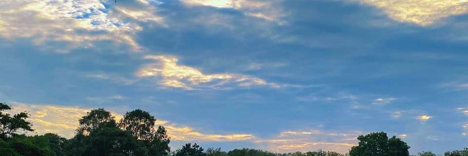 teugell's profile banner image