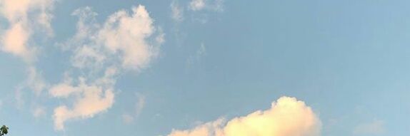 FARDES banner