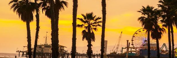 patlingle's profile banner image