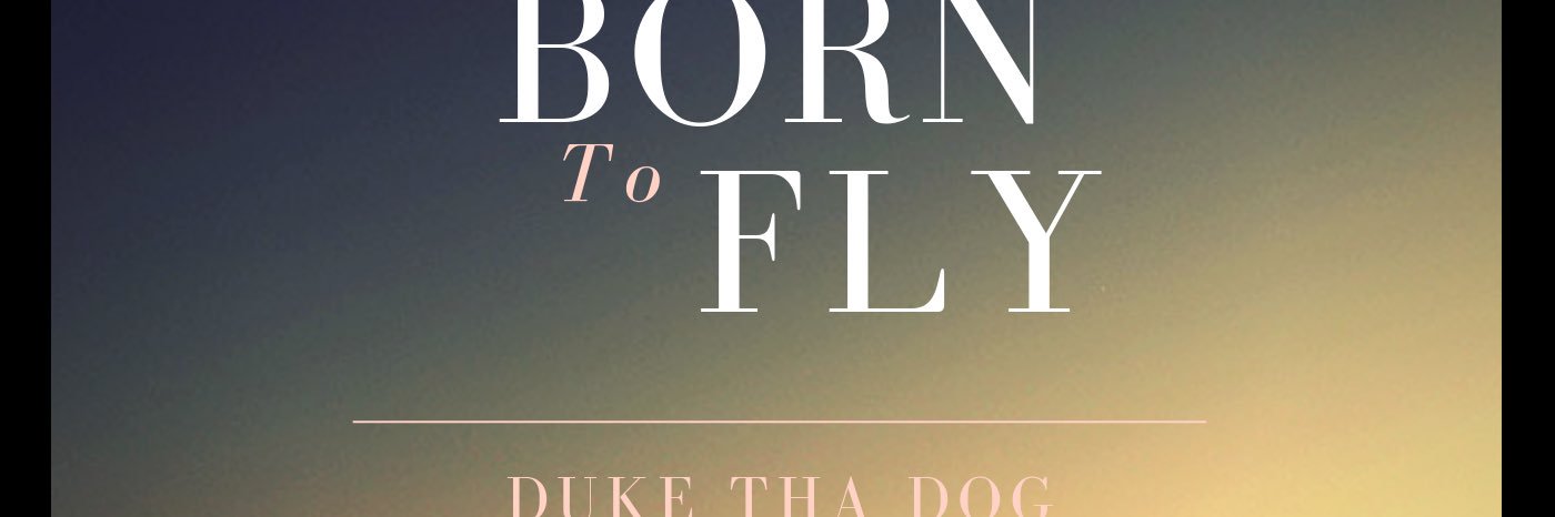 DukeThaDog13's profile banner image