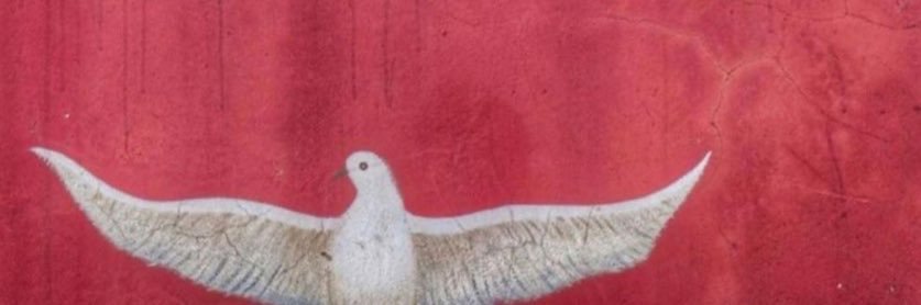 lollyschatzi's profile banner image