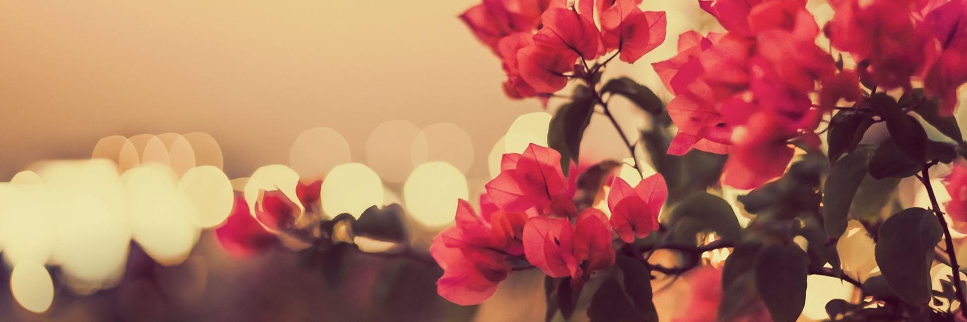 YDP_yose's profile banner image
