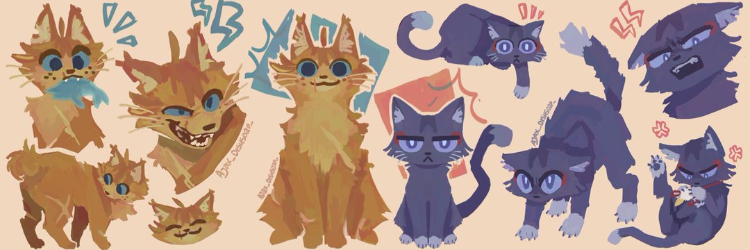 Neo | Chiscara enthusiast's banner