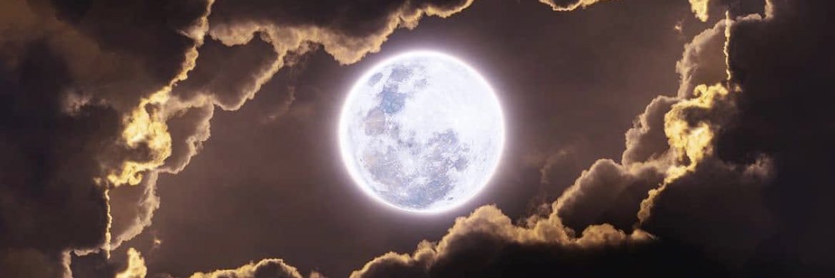 elyjam_'s profile banner image