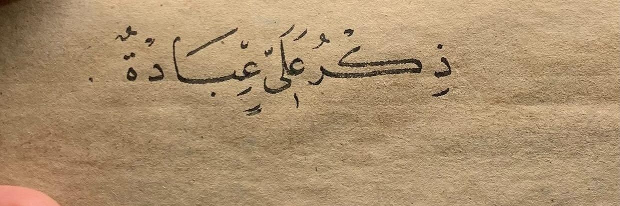 سید مجتبی banner