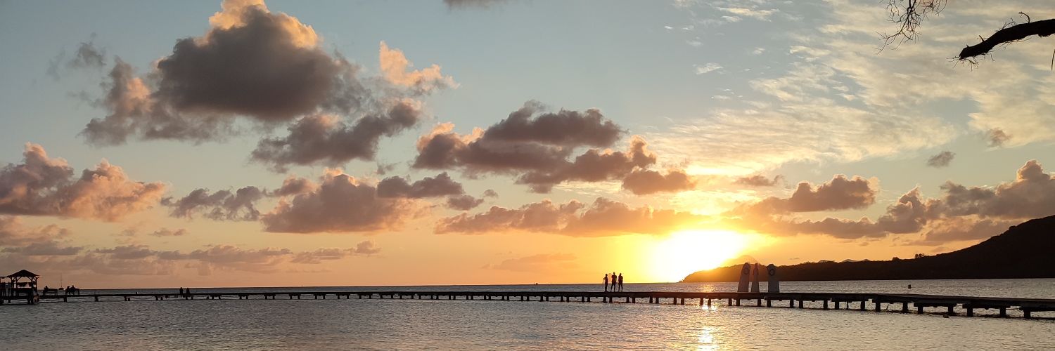 SebG 🌸🇫🇷 banner