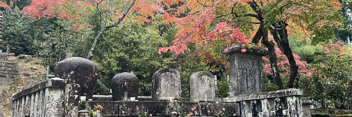 安井海洋 banner