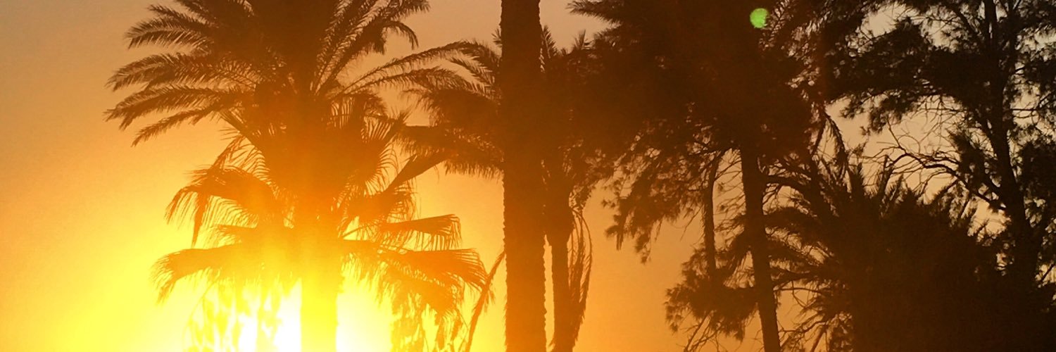 SummerShaheed's profile banner image