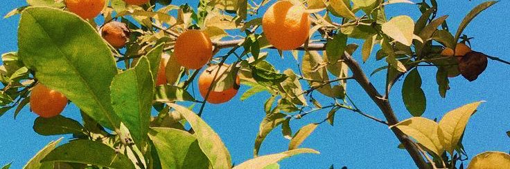 jazzygott's profile banner image