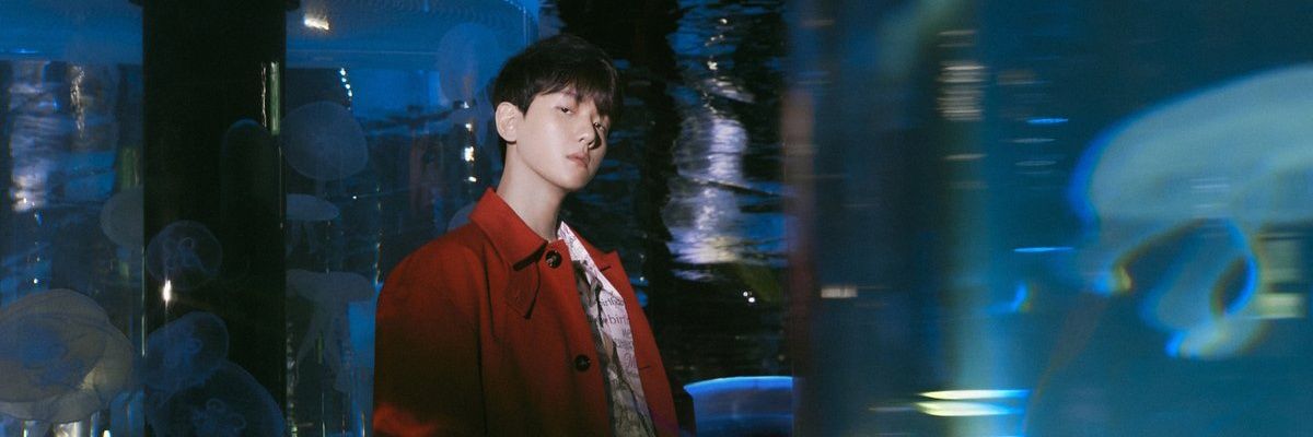 spaceosh's profile banner image
