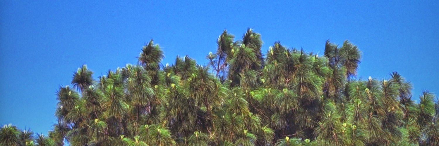 reneegustav's profile banner image