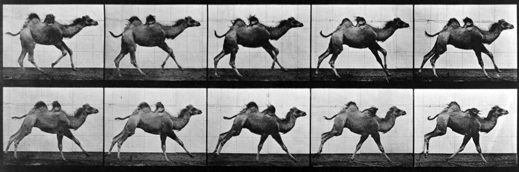 Dan Noall 🦑 banner