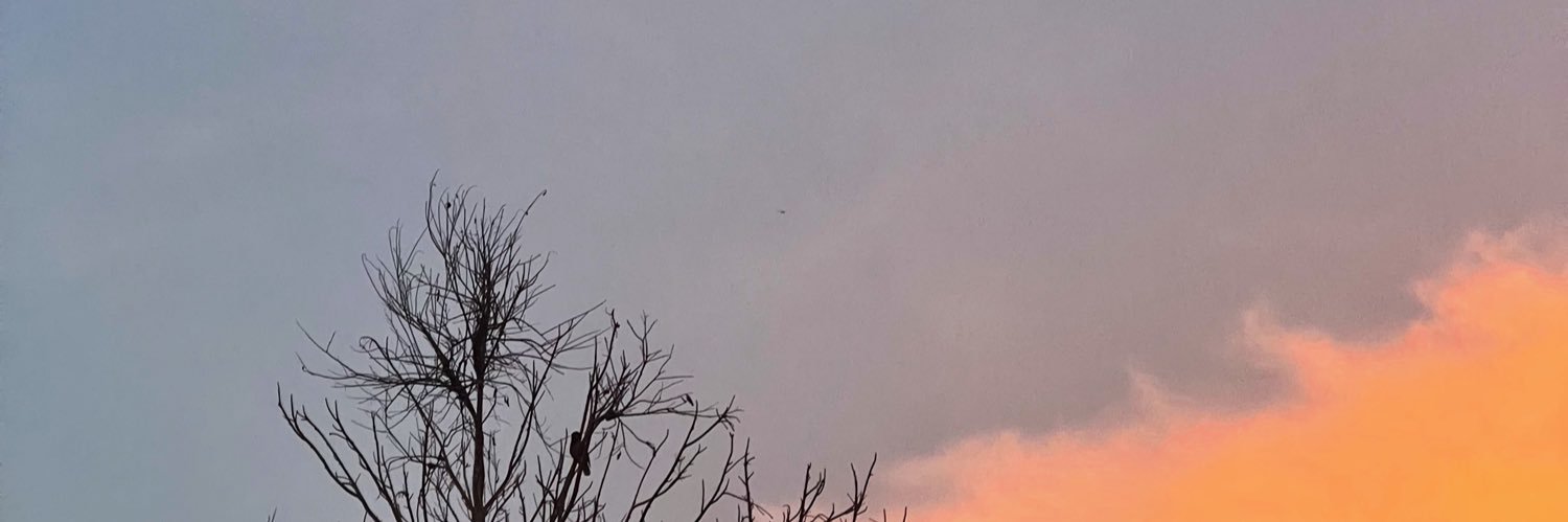 jj_ee_ss's profile banner image