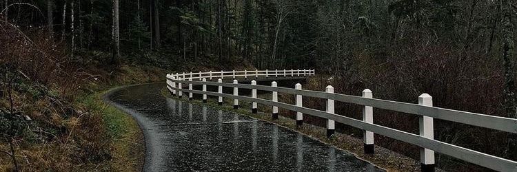 fsvn_seven's profile banner image