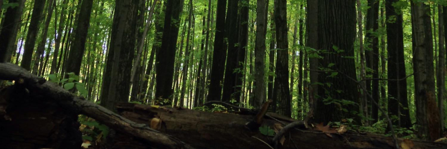 andypulling's profile banner image