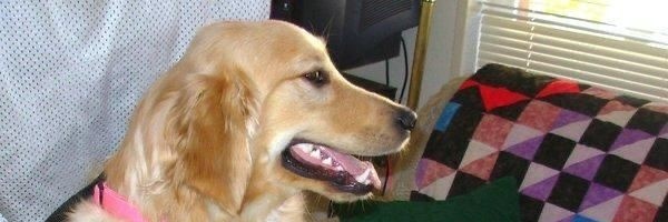 iamnones's profile banner image