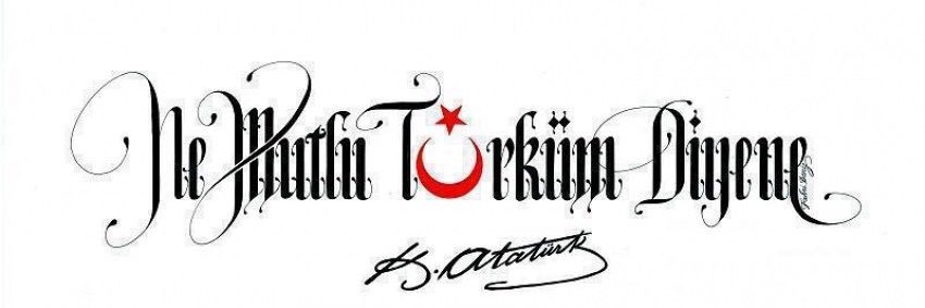 kurdoglu_tolga's profile banner image