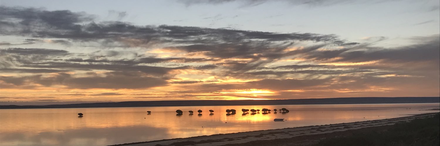 Grant Sterzl banner