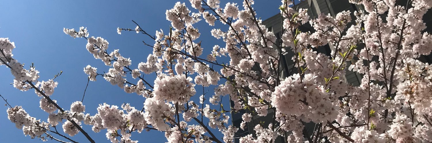 msaha_'s profile banner image