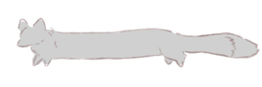 Layla_wwt's profile banner image