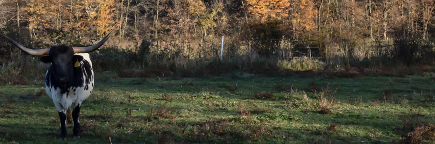 addieraevk's profile banner image