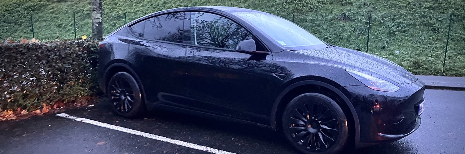 TeslaFR37 (Team Black) banner