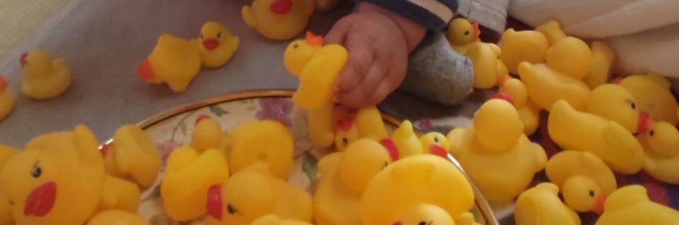 母ばなな🍌(R5.7🦖、R7.9🦕) banner