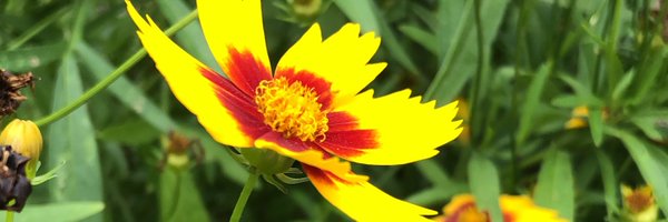 yonelson07 Profile Banner