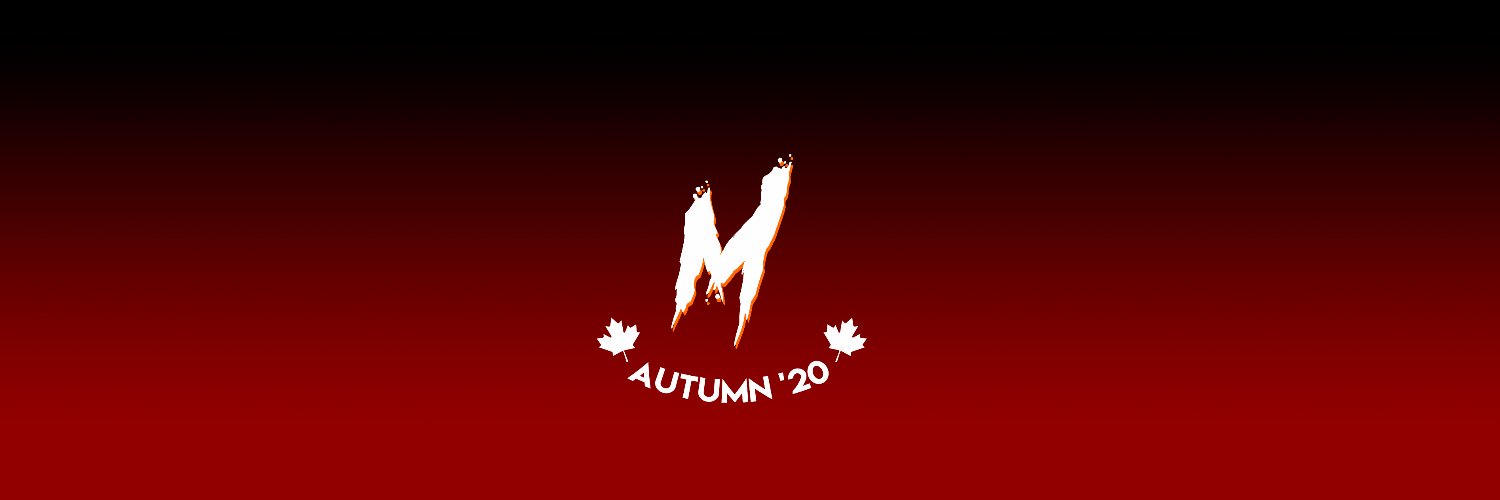 Momentum banner