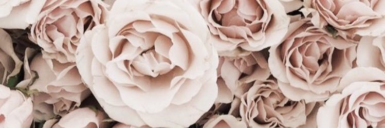 claauditt's profile banner image