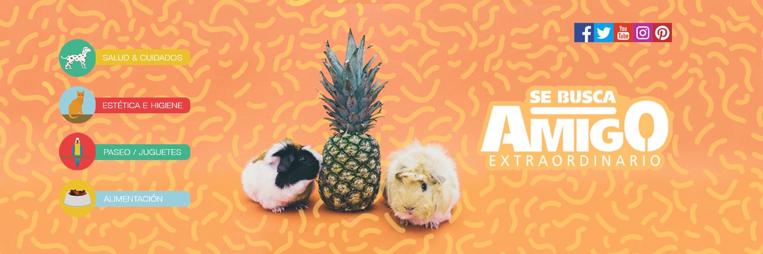 sebuscaamigo's profile banner image