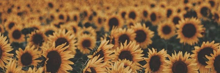 D banner