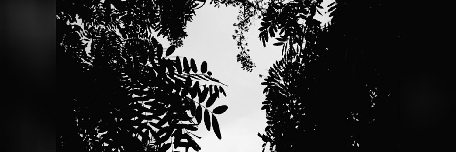 AsteryR's profile banner image